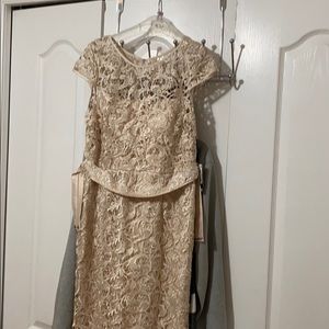 Adrianna Papell Champagne Dress with Lace NWT